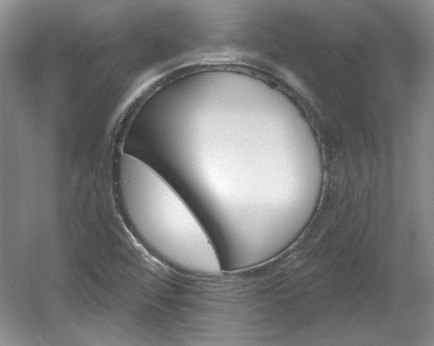 X0000061751456200512021059