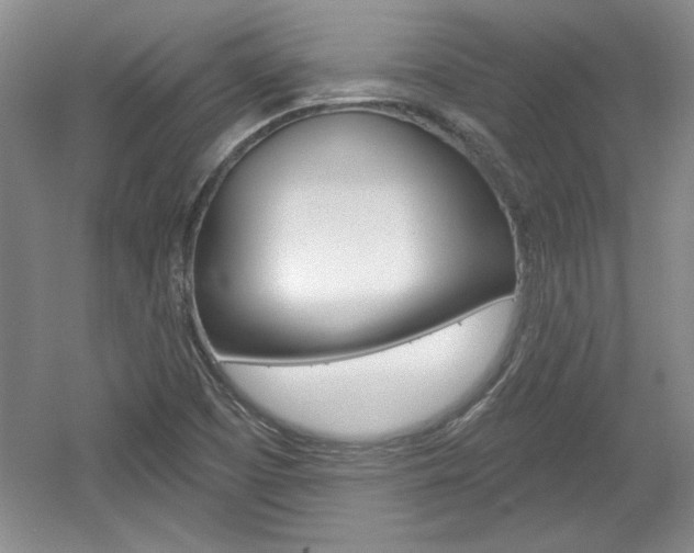 X0000061751457200512021059