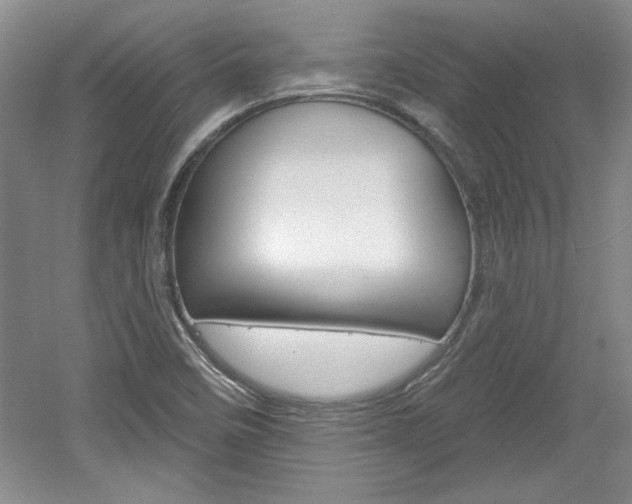 X0000061751458200512021059