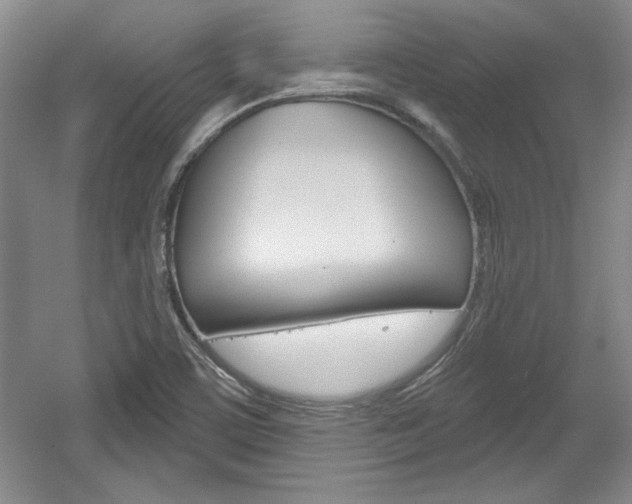 X0000061751459200512021059