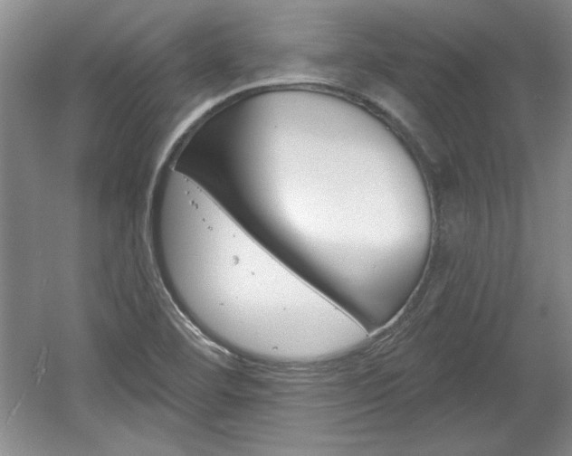 X0000061751460200512021059