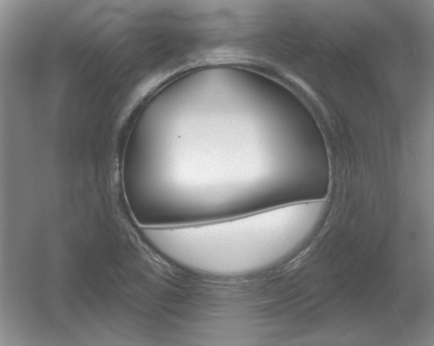 X0000061751461200512021059