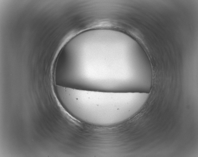 X0000061751475200512021059