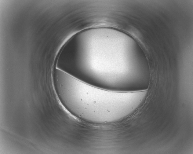 X0000061751476200512021059