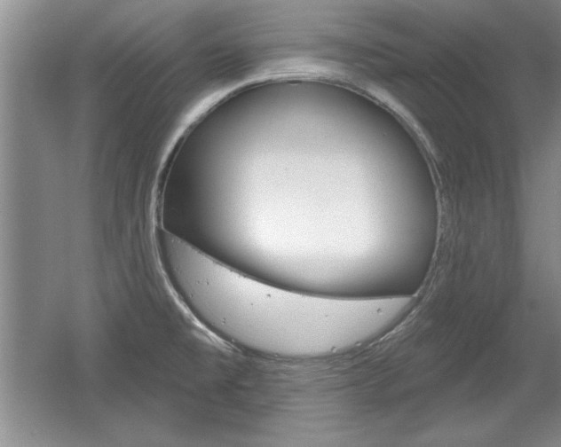 X0000061751477200512021059