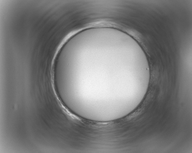 X0000061751478200512021059