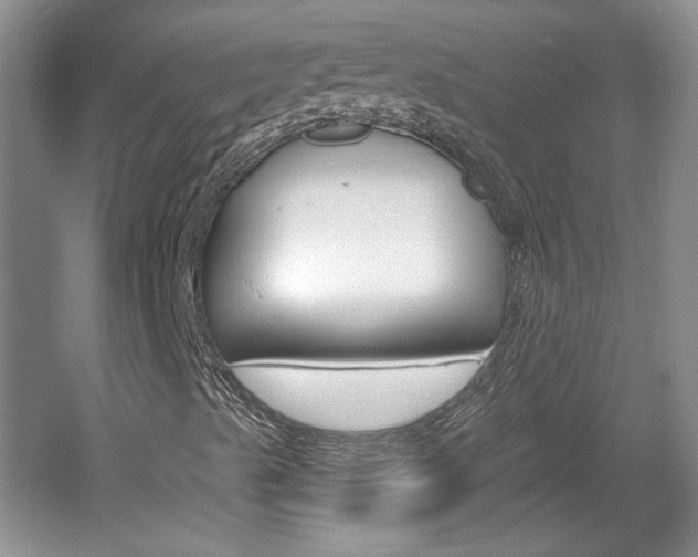 X0000061751489200512021058