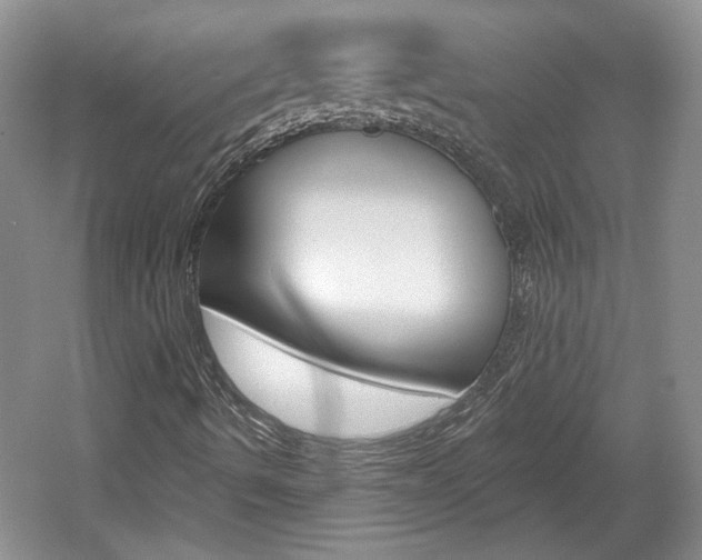 X0000061751490200512021058