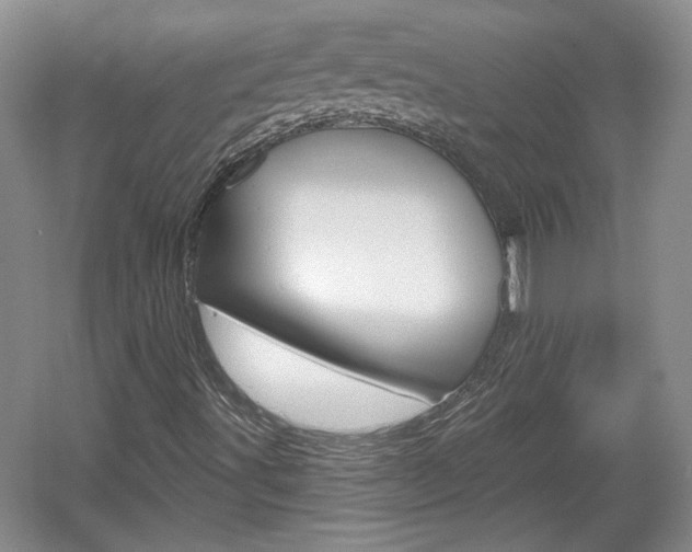 X0000061751491200512021058