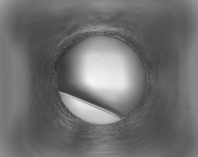 X0000061751493200512021058