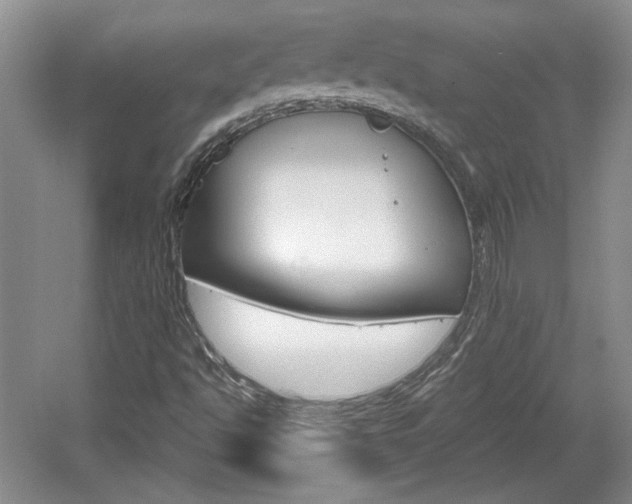 X0000061751494200512021058