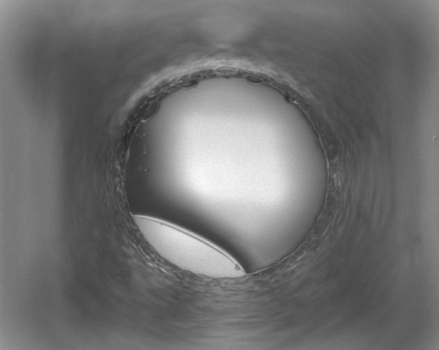 X0000061751495200512021058