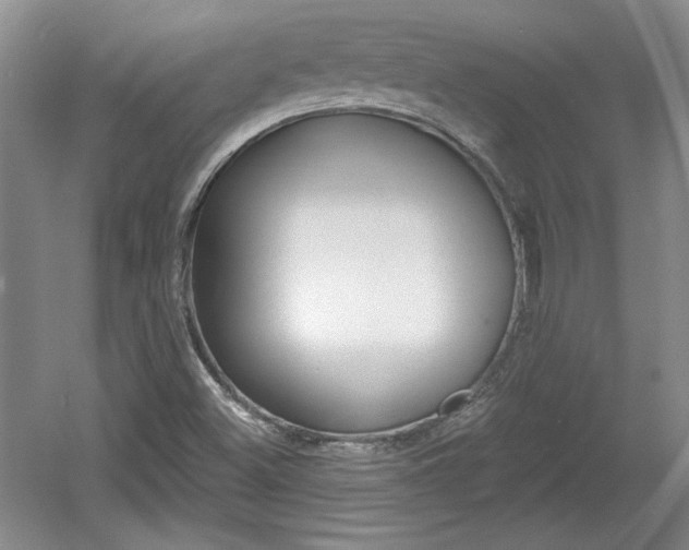 X0000061751500200512021058