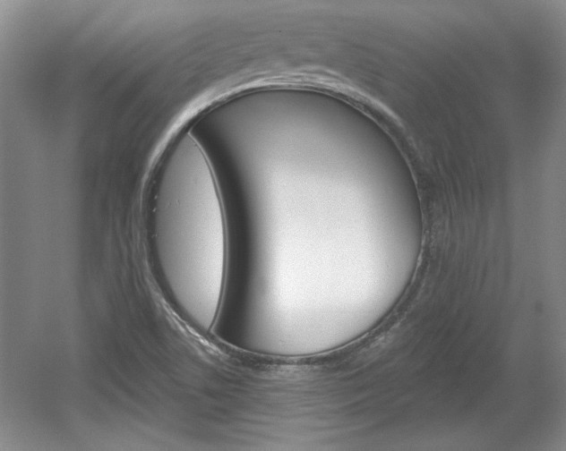 X0000061751506200512021058
