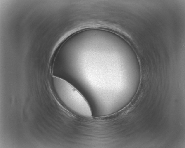 X0000061751509200512021058