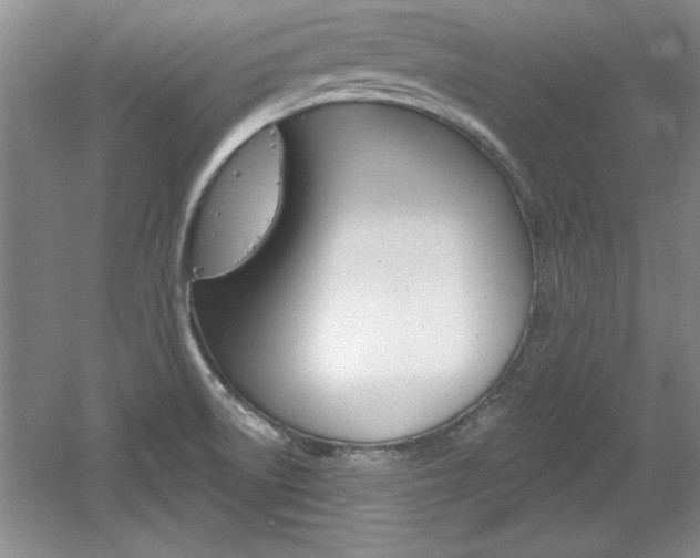 X0000061751522200512021058