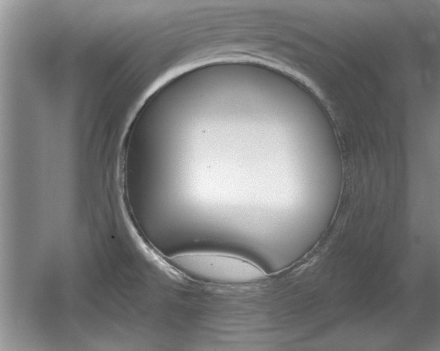 X0000061751526200512021058