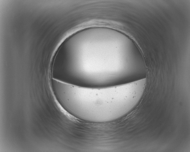X0000061751531200512021058
