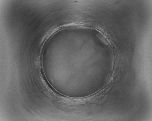 X0000061750002200512021524