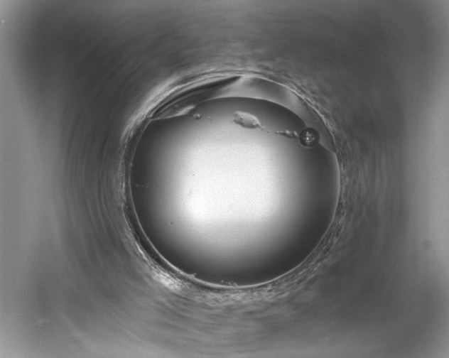 X0000061750005200512021524