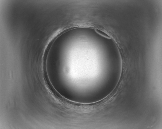 X0000061750008200512021524