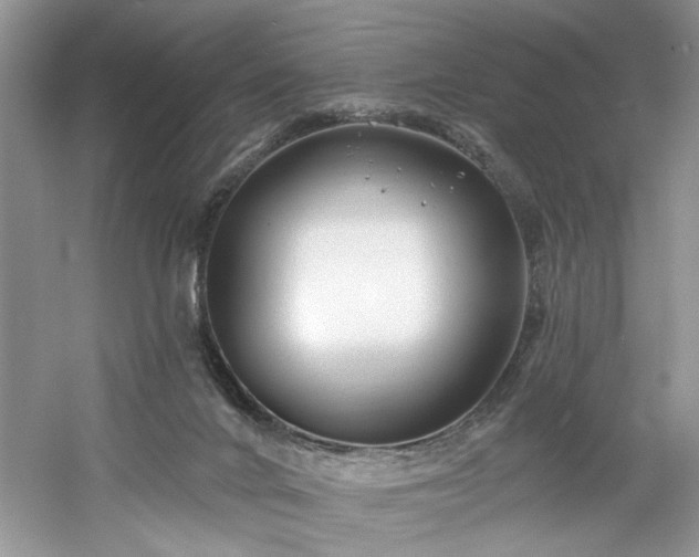 X0000061750024200512021524