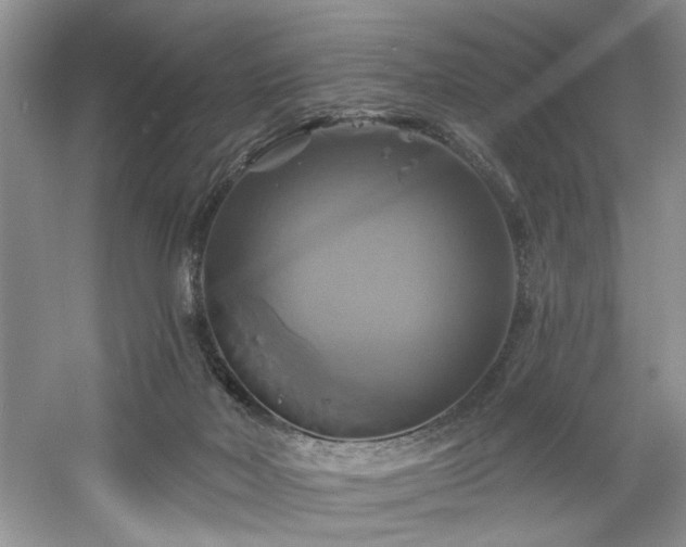 X0000061750026200512021524