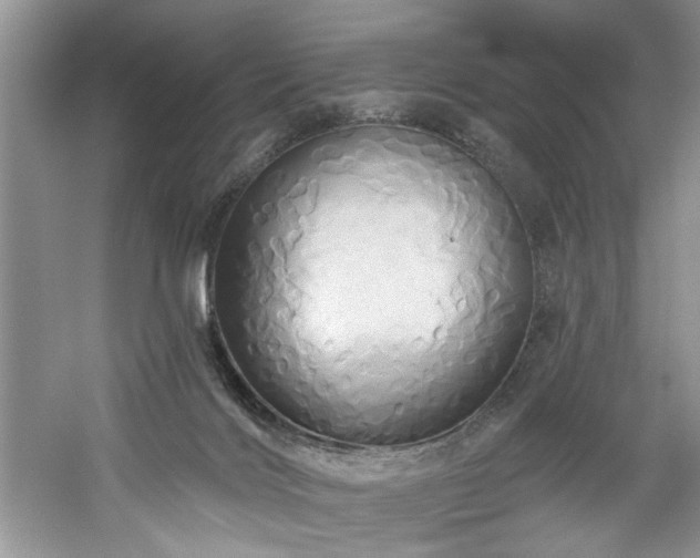 X0000061750028200512021524