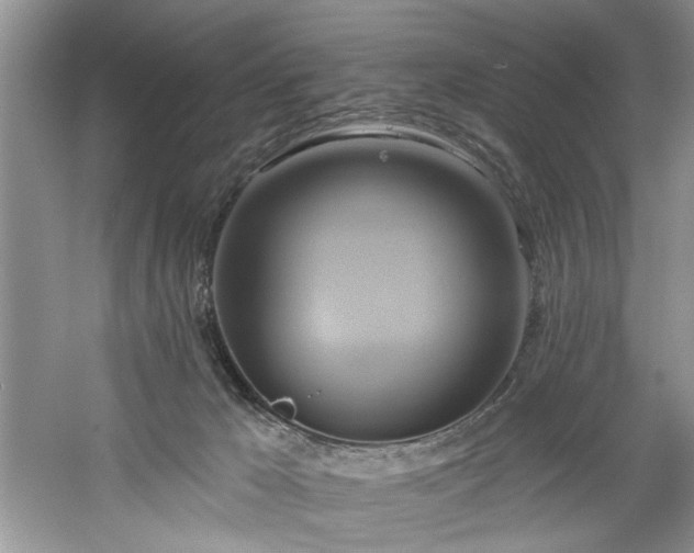X0000061750029200512021524