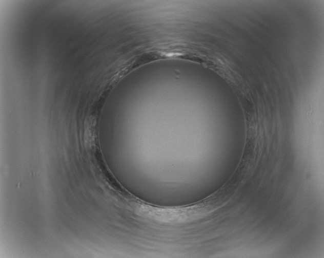 X0000061750030200512021524