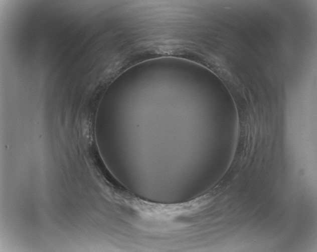 X0000061750031200512021524