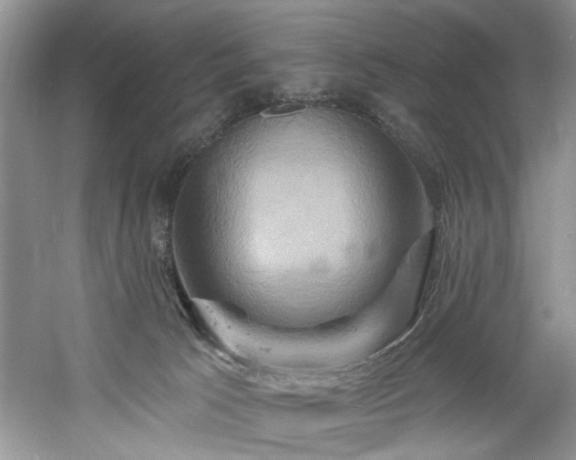 X0000061750033200512021524