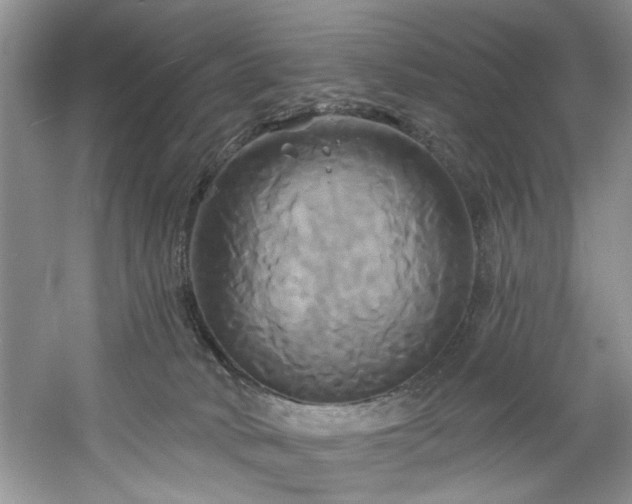 X0000061750034200512021524