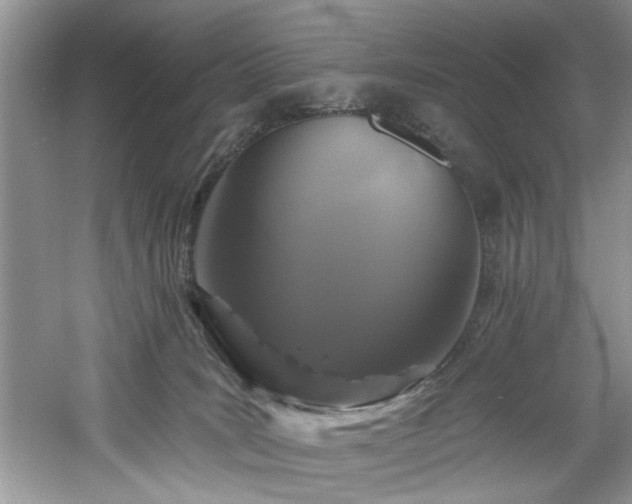 X0000061750035200512021524