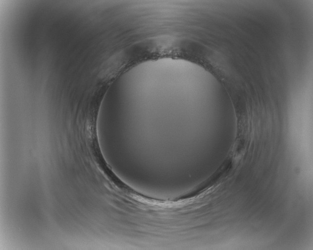 X0000061750039200512021523
