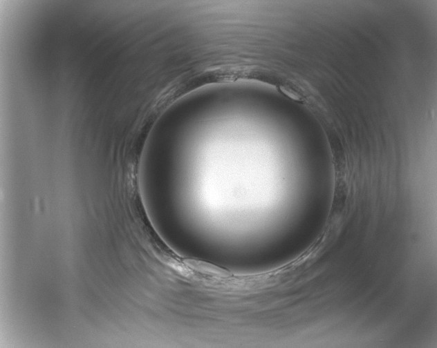 X0000061750045200512021523