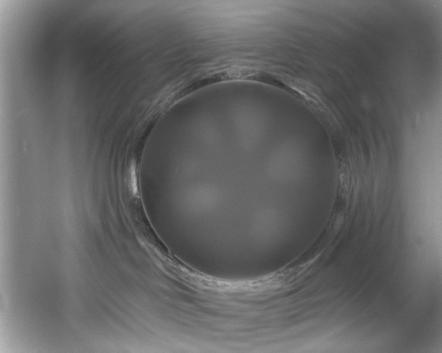 X0000061750046200512021523