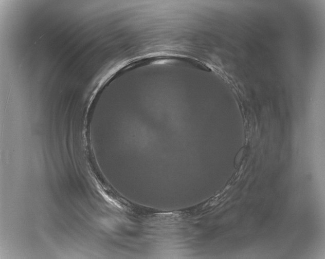 X0000061750050200512021522