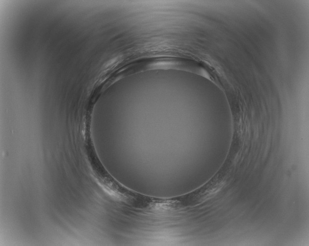 X0000061750072200512021523
