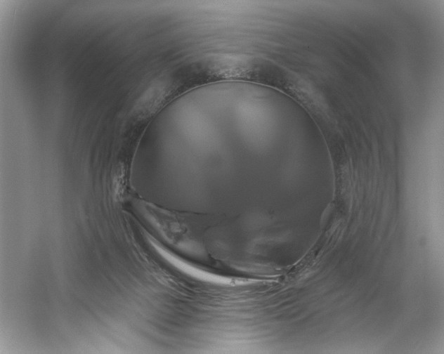 X0000061750073200512021523
