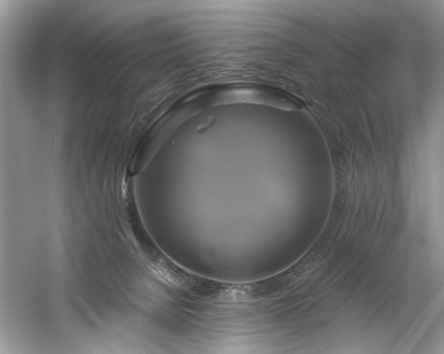 X0000061750080200512021523
