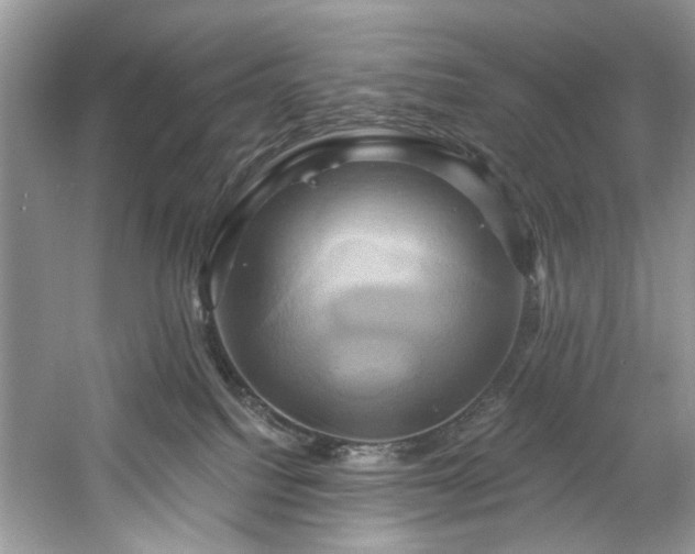 X0000061750088200512021523