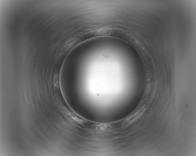 X0000061750096200512021523