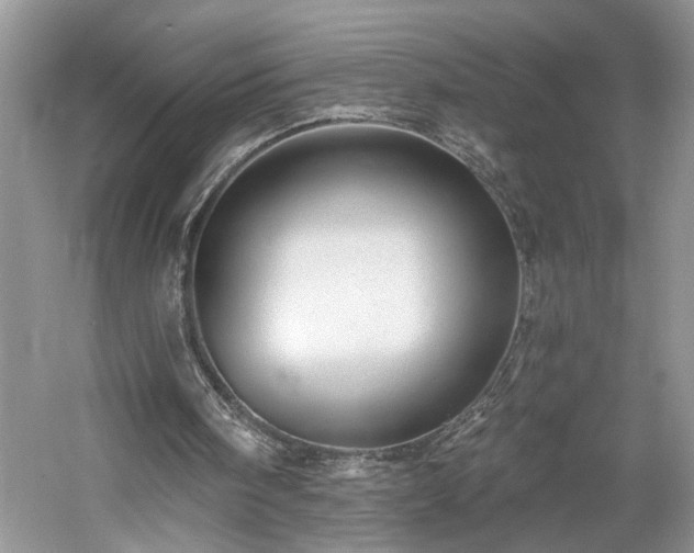 X0000061750098200512021522