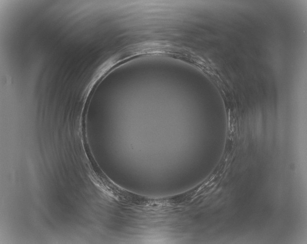 X0000061750099200512021522