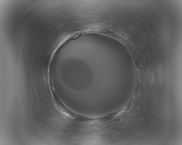 X0000061750100200512021522
