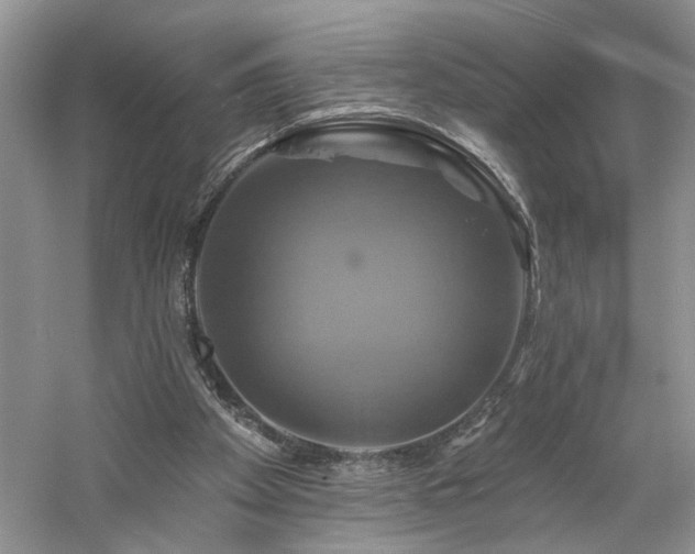 X0000061750105200512021522