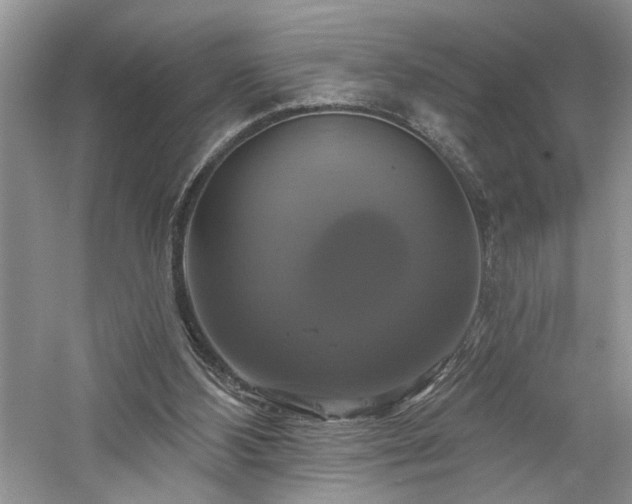 X0000061750108200512021522