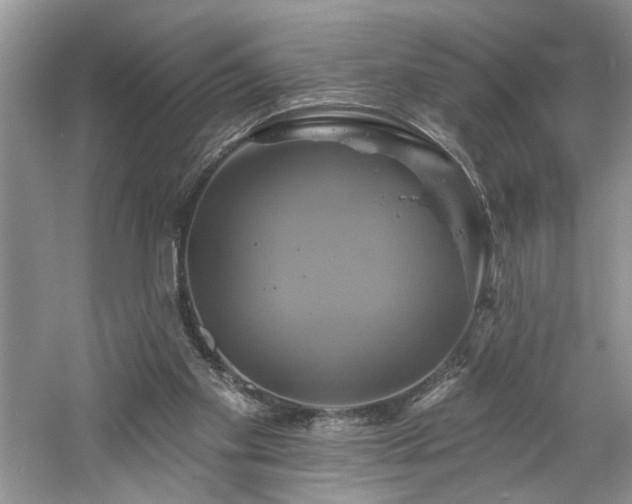 X0000061750109200512021522