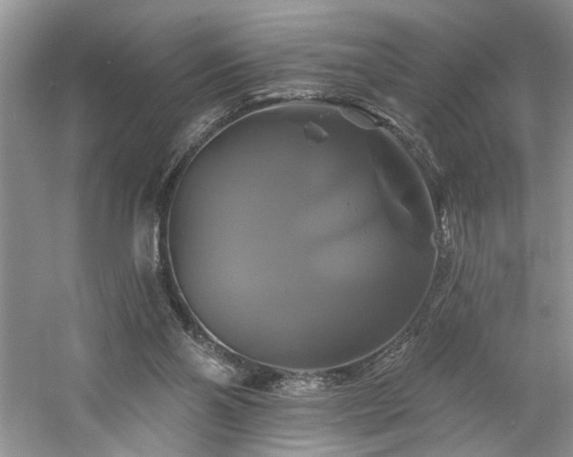 X0000061750110200512021522